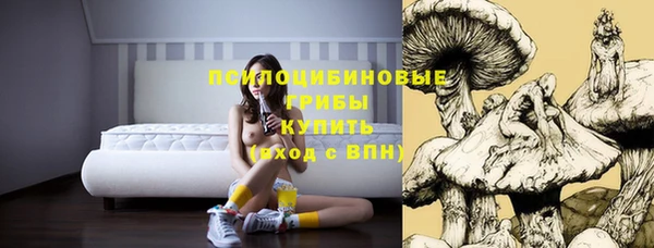 герыч Гусев