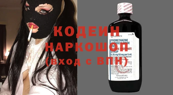 apvp Гусь-Хрустальный