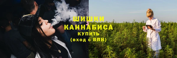 apvp Гусь-Хрустальный