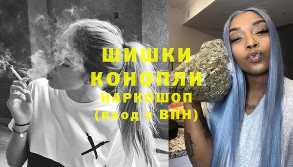 apvp Гусь-Хрустальный