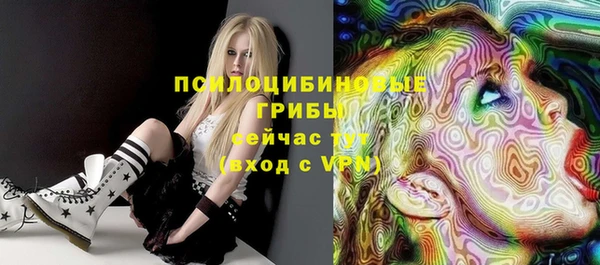 apvp Гусь-Хрустальный