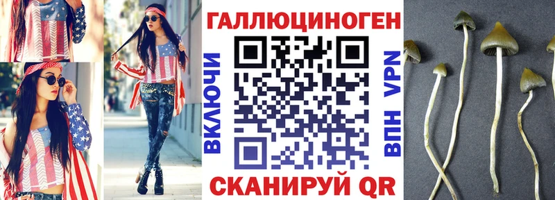 Галлюциногенные грибы прущие грибы  Купить закладки  Ильский 