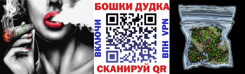 Конопля Amnesia  Купить где  Ильский 
